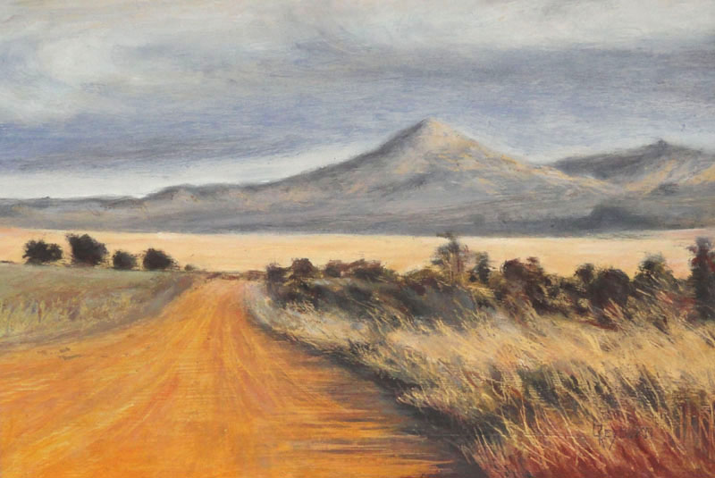 Back roads of Napier