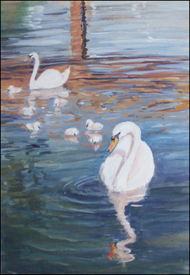 Swans under bridge